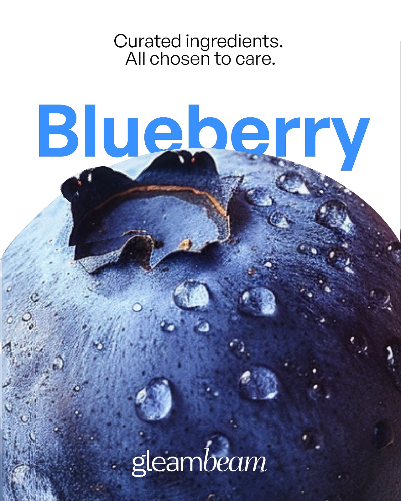 Vaccinium Myrtillus (Blueberry) Fruit Extract